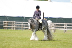 SBM_17303