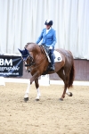 SBM_004082