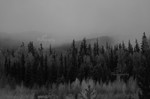 Mystic Teton Valley