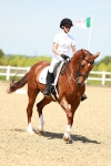 0B8A6209