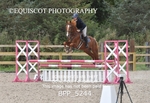 BPP_5244