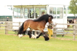 SBM_06279