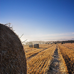 Bale. Lanarkshire, Scotland