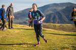 Sale Fell-446