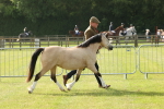 SBM_00556