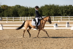 SBM_007015