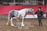 BPP_1256