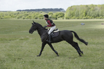 BVHT 140517  IXC -200
