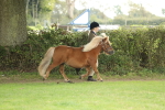 SBM_62737