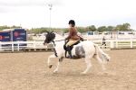 SBM_06234