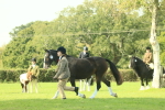 SBM_66551