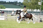 SBM_17292