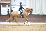 SBM_002385