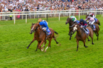170623-Race 2-Wild Lion-7000