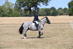 WJ6_8783