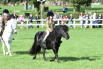SBM_50287