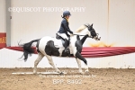 BPP_8402