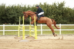 SBM_006088