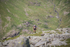 Duddon Long-736