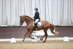 SBM_004203