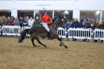 SBM_004649