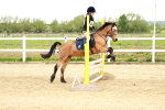 SBM_008265