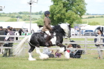 SBM_17140