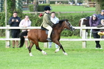SBM_51879