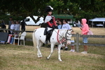 WJ6_4616