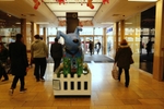13. Summer Meadow, St David's Centre