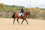 SBM_001298