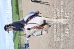 BPP_7445_2
