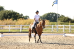 SBM_007773