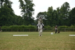 WJ6_7021