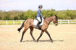 SBM_008405
