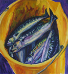Campbell's Mackerel
