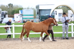 SBM_05820