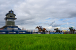 300826-Race 5-Harb-6163