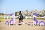 SBM_001033
