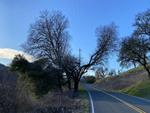 Old River Road, Ukiah, California