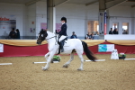 SBM_06633