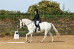 SBM_000164
