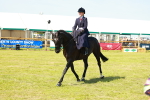 SBM_13222