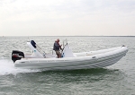 090510 STINGHER RIB IMG_1186