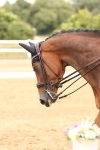 SBM_006364