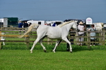 SBM_00031