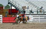 Gavin Hershberger - Team Roping portfolio