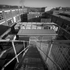 Scaling the Rooftops