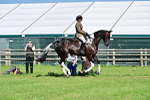 SBM_12128