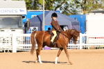 SBM_08278